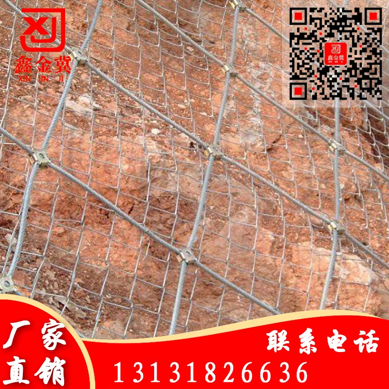 主動(dòng)網(wǎng)、鋼絲繩網(wǎng).jpg